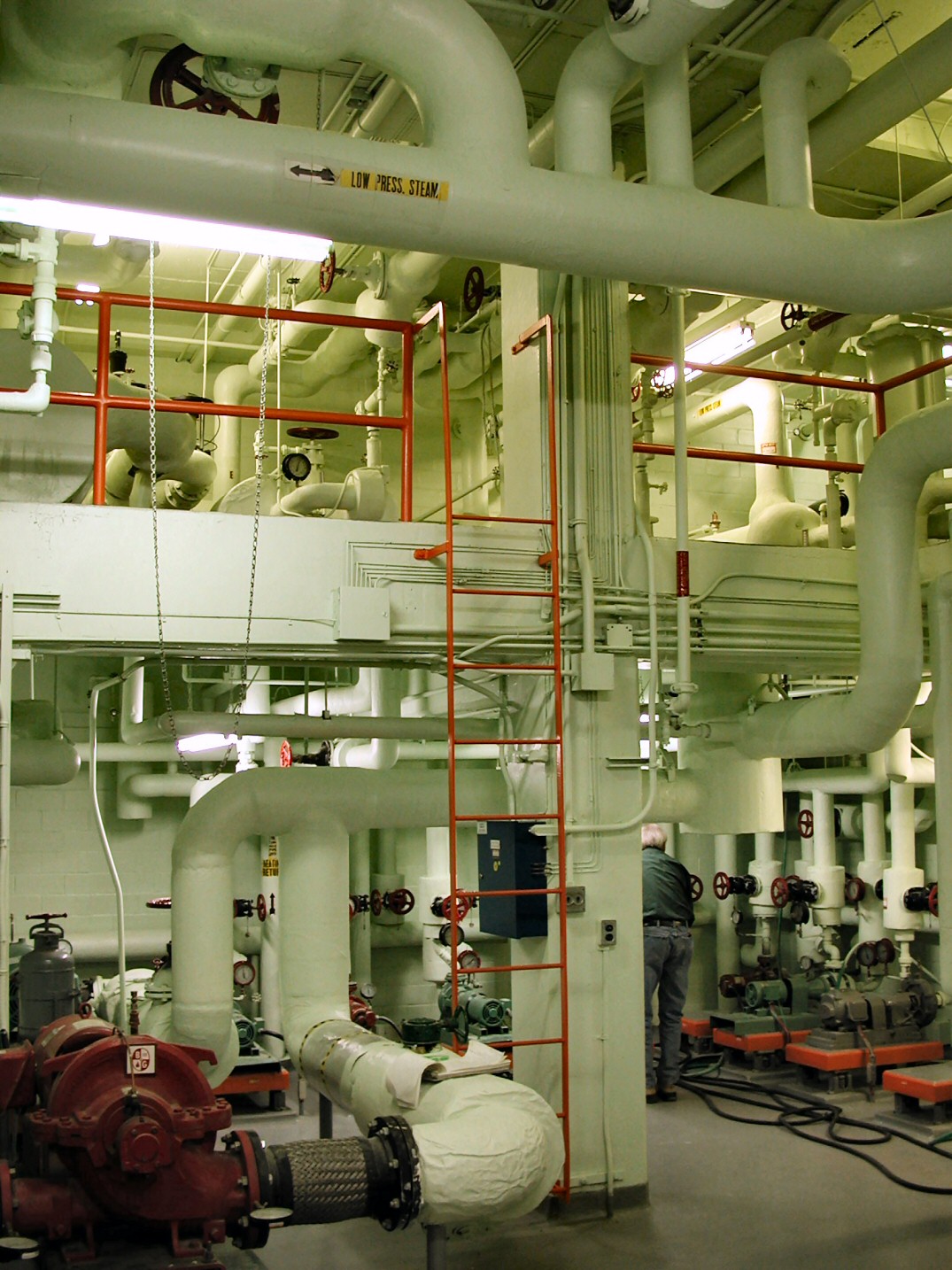 Circulation pumps, pipework and valves in a commercial mechanical room.